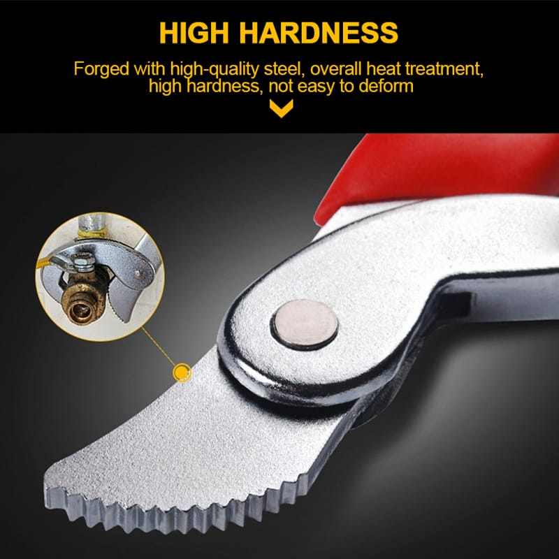 Sepana Ajaib - Image 5