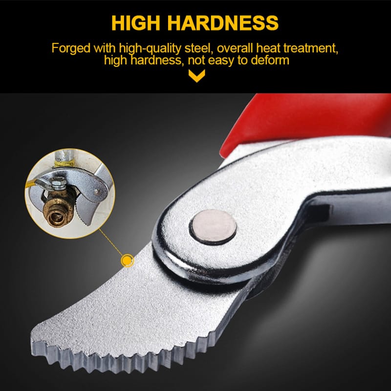 Sepana Ajaib - Image 7